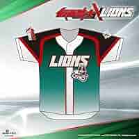 Amazon.co.jp: 台湾プロ野球統一ライオンズ ユニフォームM